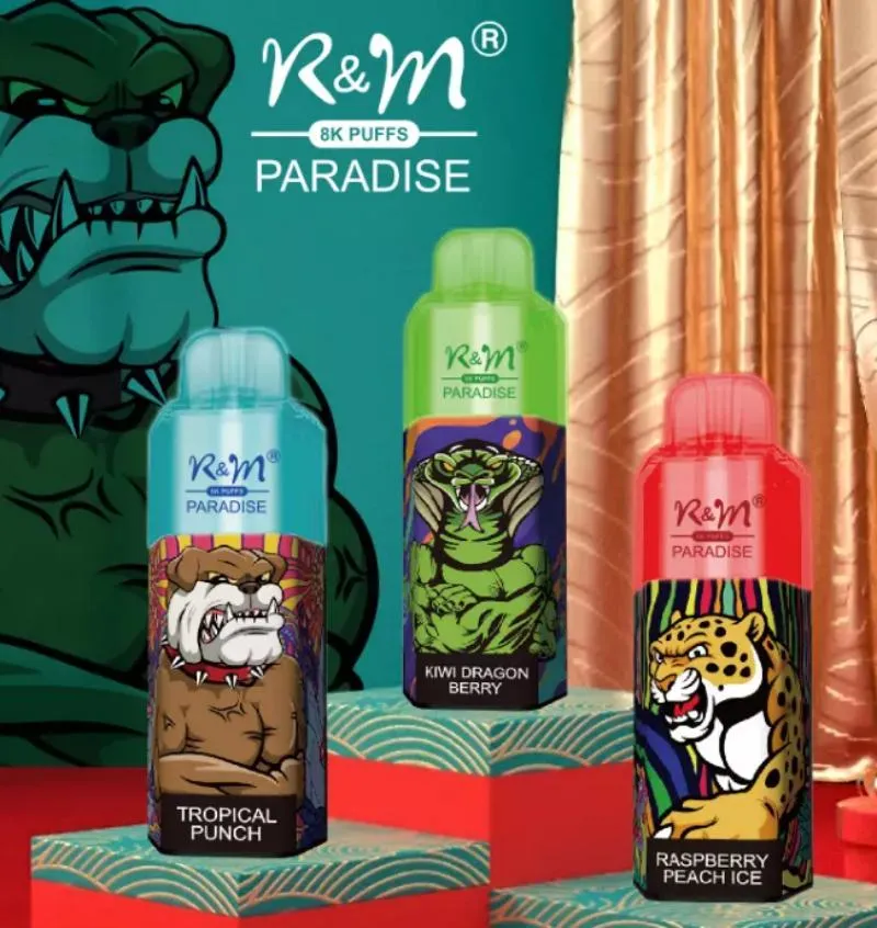 RM PARADISE 8000puffs RM PARADISE 8000puffs