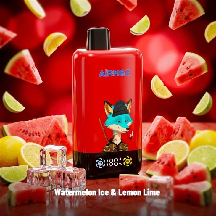 Airmez Fox 2-in-1 Pro 80000 best