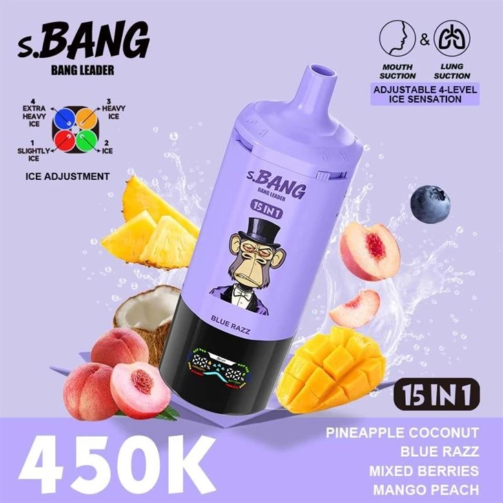 BANG LEADER S.BANG 450K factory