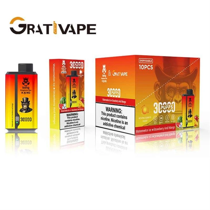 GRATIVAPE Bang Kingdoms Rex King 30000 Puffs