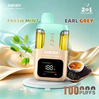 MESII VISIBLE TWINS 100K PUFFS: A Truly Long-Lasting Vape—More Than Just A High Puff Count