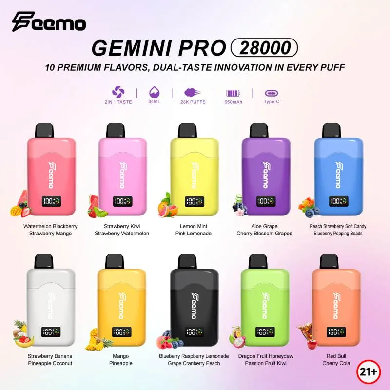 Feemo GEMINI PRO 28000 10 Feemo GEMINI PRO 28000 10