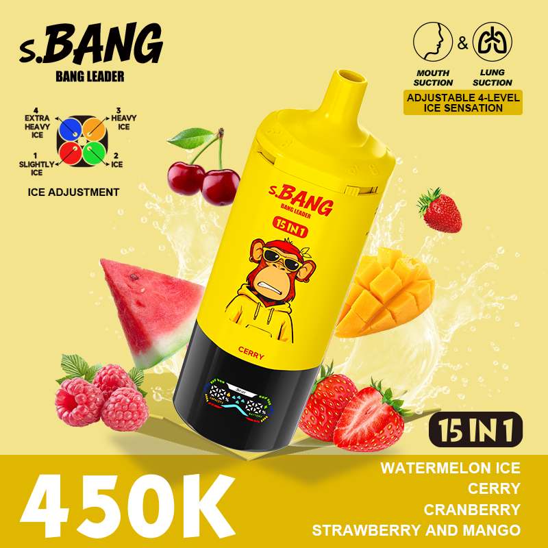 BANG LEADER sBANG 450K BANG LEADER sBANG 450K