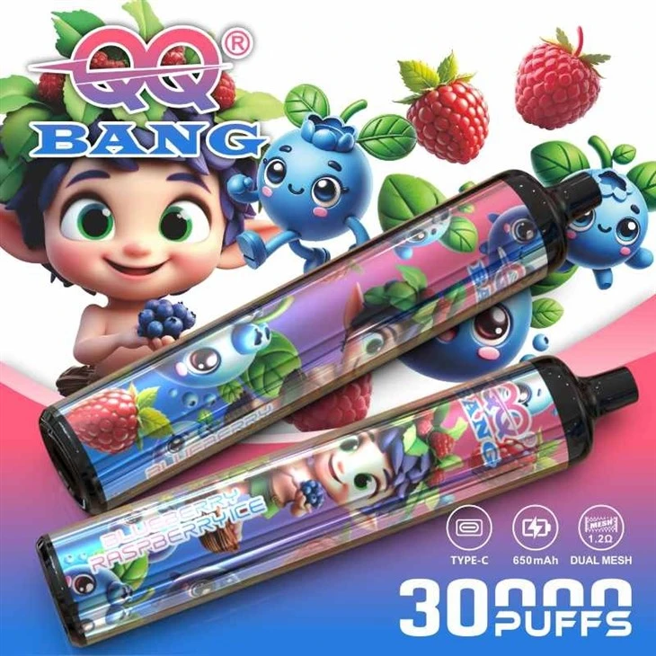 QQ BANG 30000 factory