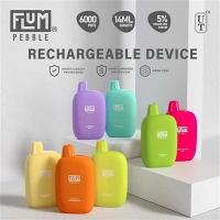 FLUM Pebble 6000 Puffs Disposable Vape