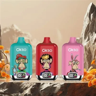 OKSO Digital Box 12K